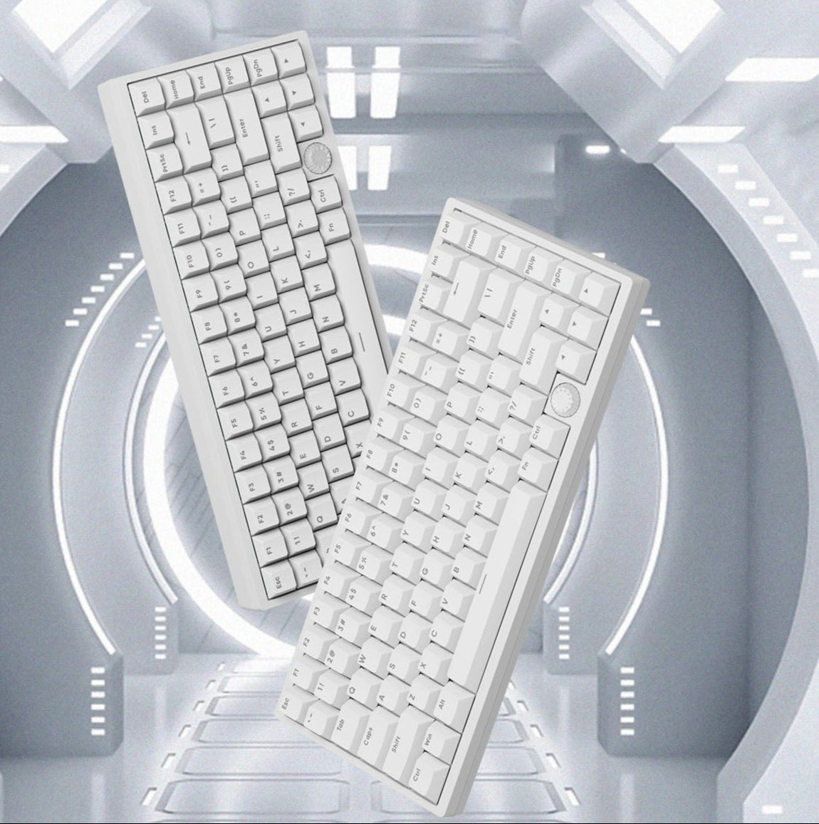 Sikakeyb Castle Ck75 US 83 Tasten 75 % magnetische Tastatur