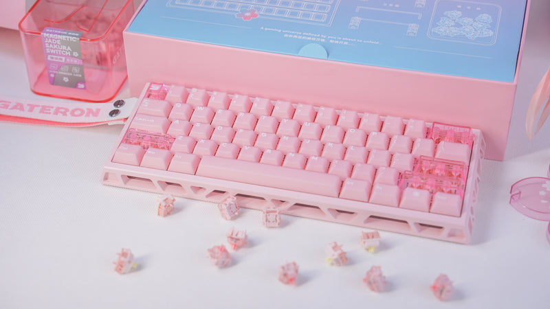 Custom Keyboards