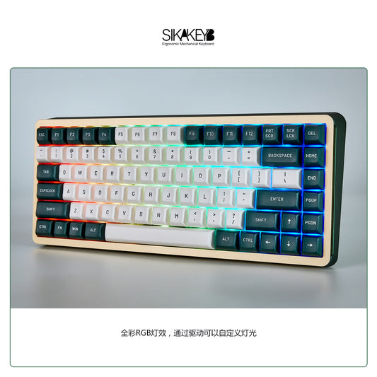 Sikakeyb Magnetic Keyboard Custom Keycap Set Doubleshot Pbt （Lime mint）Greenish white